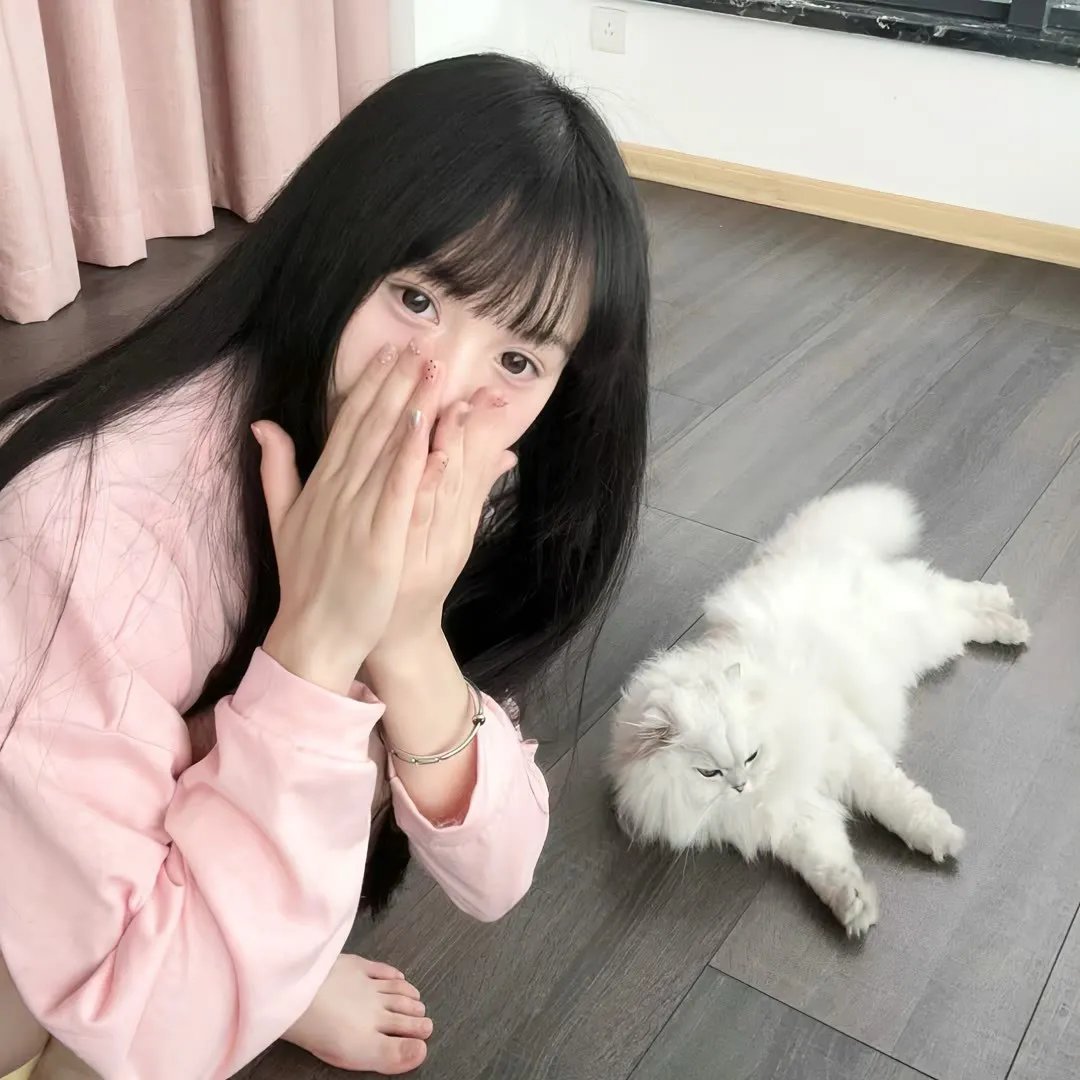 秘密战队五连者 青色大要塞